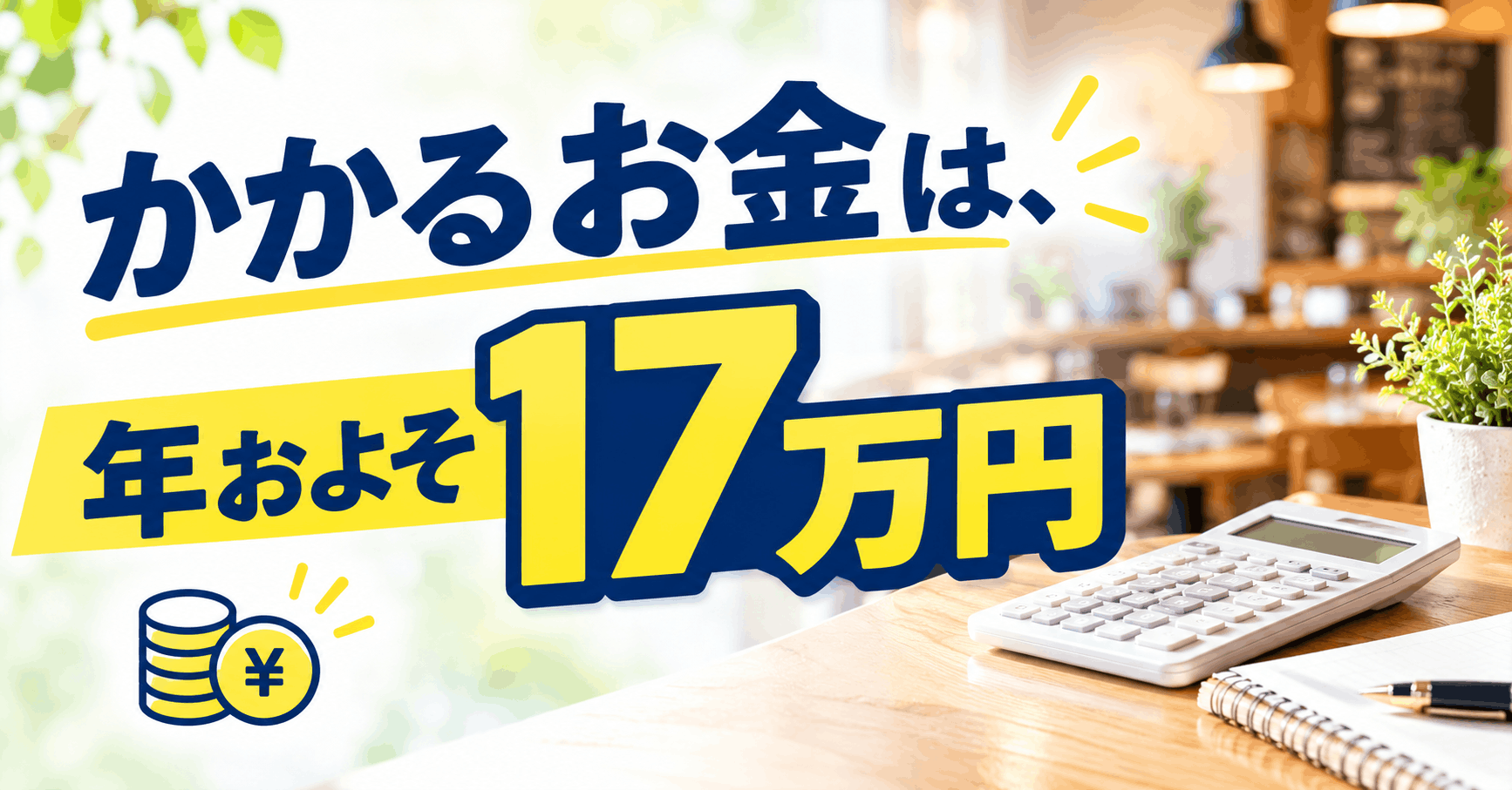 かかるお金は、年およそ17万円